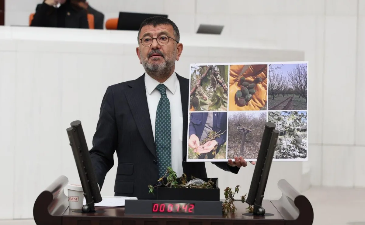 AĞBABA" İKTIDAR ÇIFTÇİYI DON VURDUGU GİBİ VURDU "