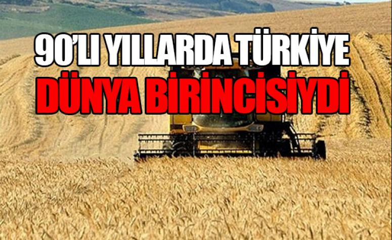 AKP tarımı iflas ettirdi, çiftçiyi bitirdi