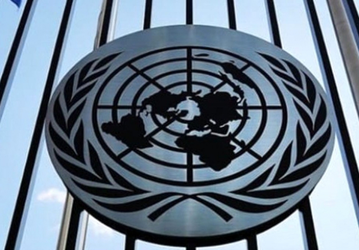 Birleşmiş Milletlerden Gergerli oğlu ve İstanbul Sözleşmesi için çağrı