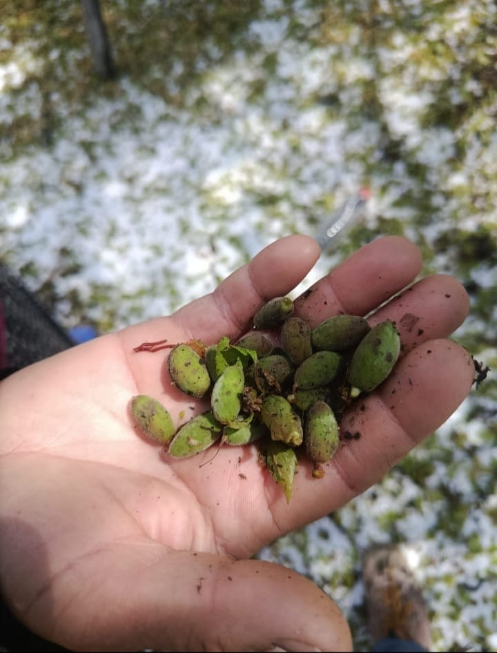 CHP MALATYA İL BASKANI YILDIZ " MALATYA DA BİR KEZ DAHA CİDDİ BİR AFFET YAŞANDJ