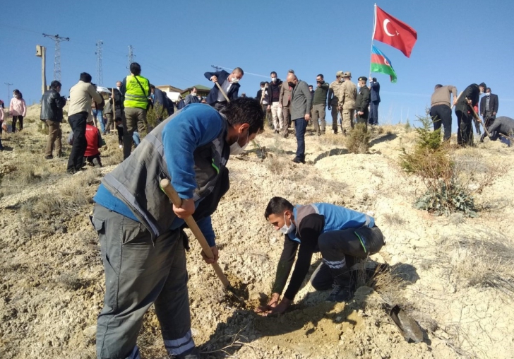 FIRAT EDAŞ MALATYADA DİKTİĞİ FİDANLARLA DOĞAYA NEFES OLDU