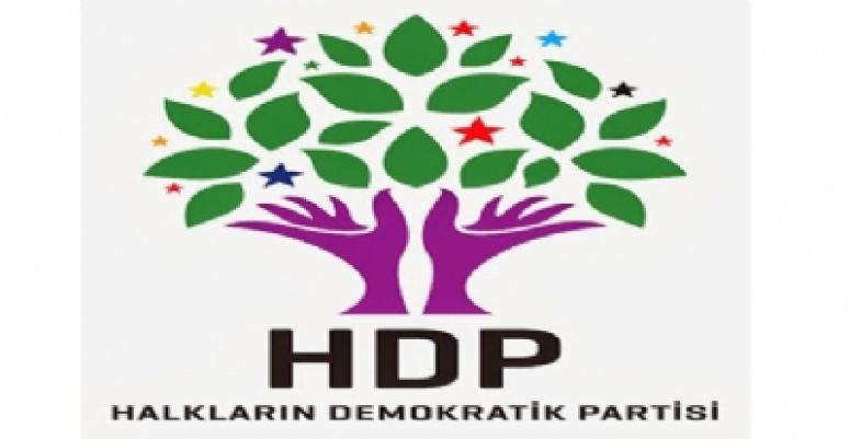 HDP ' Artık paralel meclis işbaşındadır''