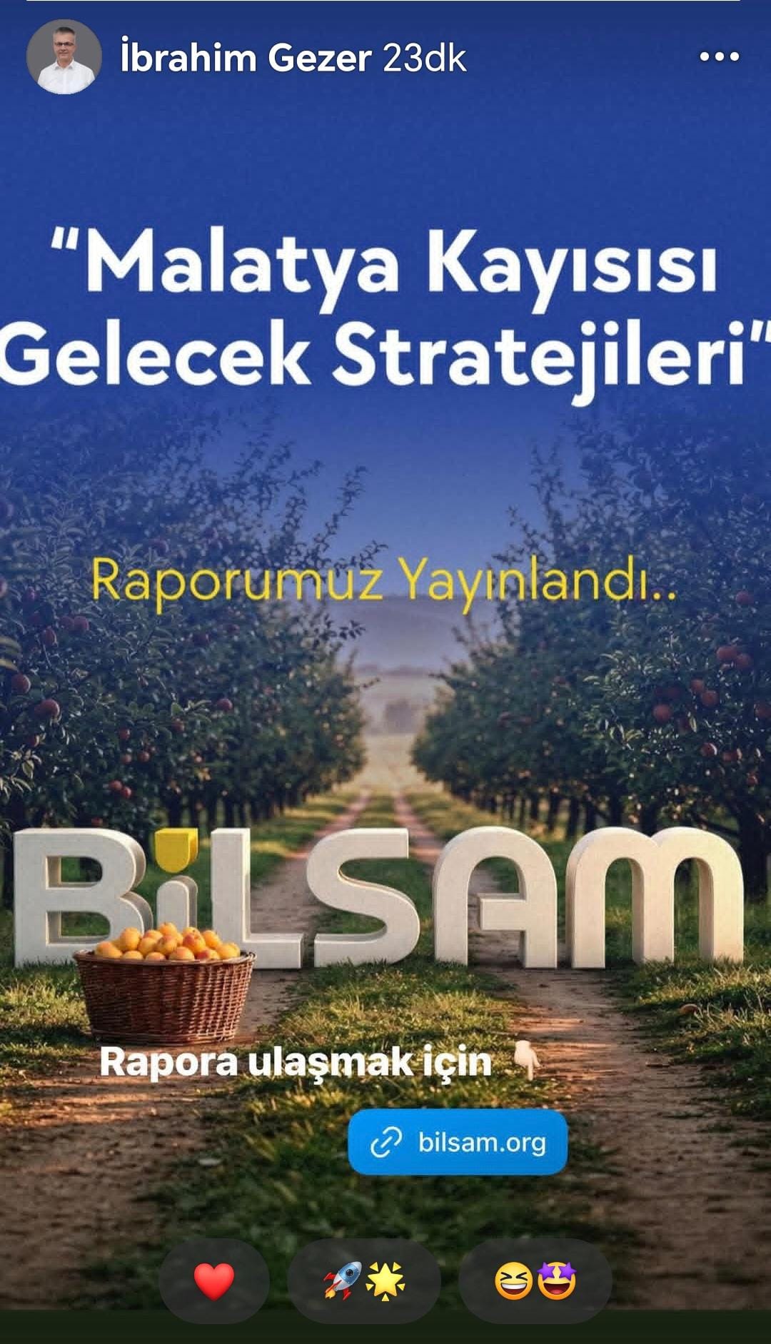 MALATYA KAYISISI GELECEK STRATEJİLERI RAPORU, RİSKLER TEHDİTLER, FIRSATLAR