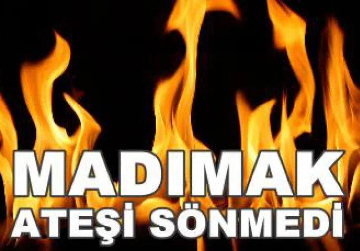 PSAKD AKP'li Cumhurbaşkanı, Madımak katilini "affederek" serbest bıraktı.